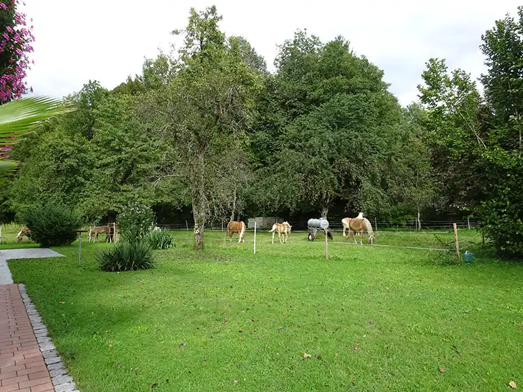 Terrasse FeWo Staufen